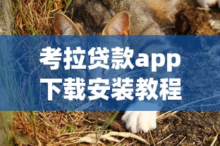 考拉贷款app下载安装教程 考拉贷款app下载安装教程