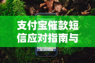 支付宝催款短信应对指南与解决方案