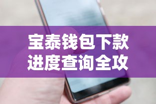 宝泰钱包下款进度查询全攻略 宝泰钱包下款进度查询全攻略