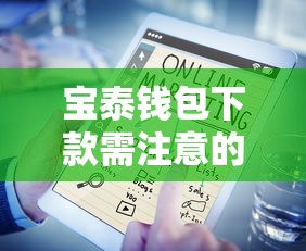 宝泰钱包下款需注意的五大要点