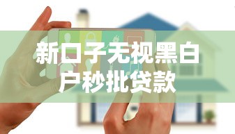 新口子无视黑白户秒批贷款
