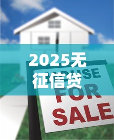 2025无征信贷款十大正规平台 2025无征信贷款十大正规平台