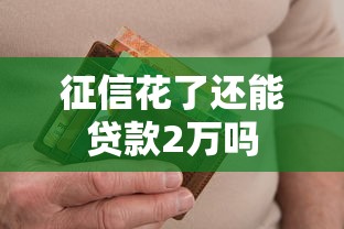 征信花了还能贷款2万吗