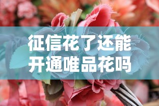 征信花了还能开通唯品花吗