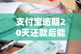 支付宝逾期20天还款后能否再借款