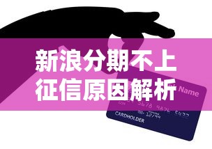 新浪分期不上征信原因解析 新浪分期不上征信原因解析
