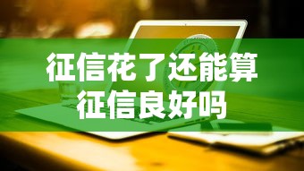 征信花了还能算征信良好吗