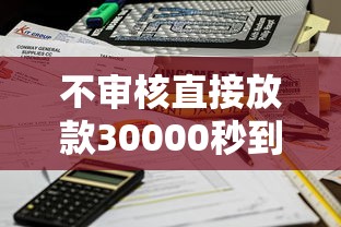 不审核直接放款30000秒到账
