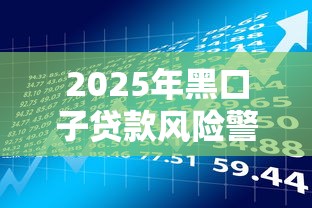 2025年黑口子贷款风险警示