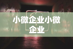 小微企业小微企业