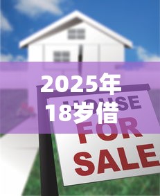 2025年18岁借款必过十大正规平台