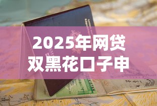 2025年网贷双黑花口子申请指南