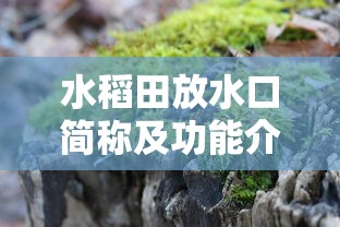 水稻田放水口简称及功能介绍