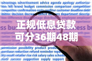 正规低息贷款可分36期48期申请