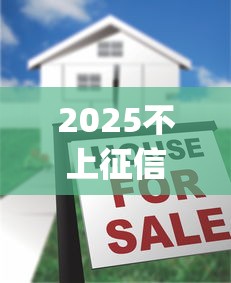 2025不上征信借款app十大良心榜