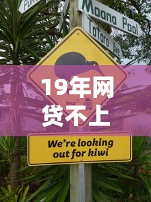 19年网贷不上征信真相解析