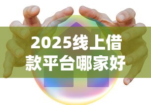 2025线上借款平台哪家好借
