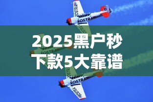 2025黑户秒下款5大靠谱口子