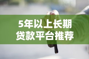 5年以上长期贷款平台推荐指南