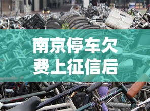 南京停车欠费上征信后果解析 南京停车欠费上征信后果解析