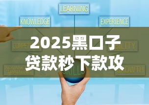 2025黑口子贷款秒下款攻略