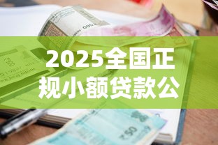 2025全国正规小额贷款公司排名前十