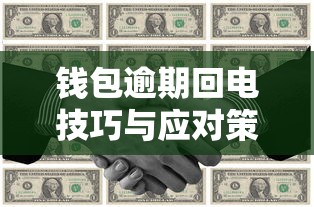 钱包逾期回电技巧与应对策略
