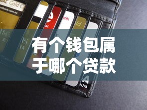 有个钱包属于哪个贷款口子