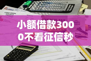 小额借款3000不看征信秒到账