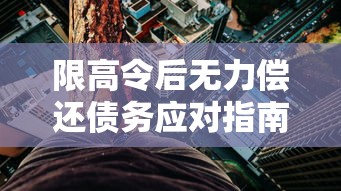 限高令后无力偿还债务应对指南 限高令后无力偿还债务应对指南