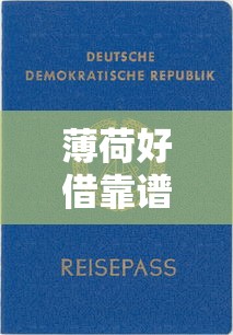 薄荷好借靠谱吗借款审核快放款稳