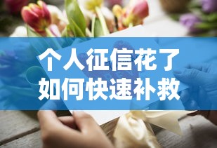 个人征信花了如何快速补救