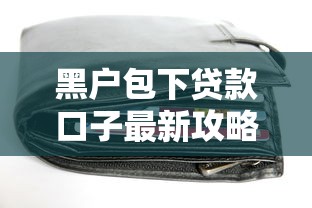 黑户包下贷款口子最新攻略
