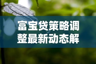 富宝贷策略调整最新动态解析