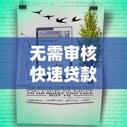 无需审核快速贷款办理全攻略