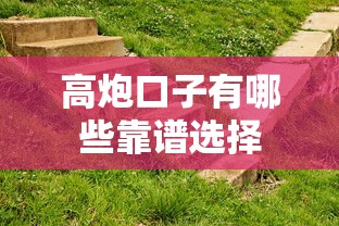 高炮口子有哪些靠谱选择