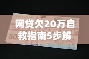 网贷欠20万自救指南5步解决 网贷欠20万自救指南5步解决