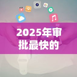 2025年审批最快的小贷机构推荐