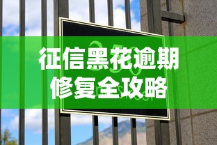 征信黑花逾期修复全攻略