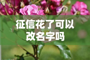 征信花了可以改名字吗