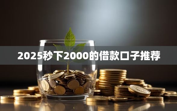 2025秒下2000的借款口子推荐 2025秒下2000的借款口子推荐