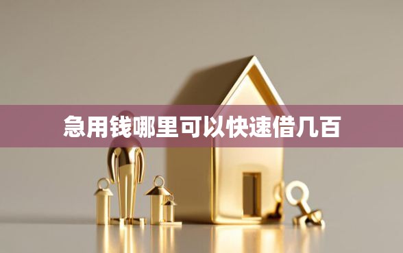 急用钱哪里可以快速借几百