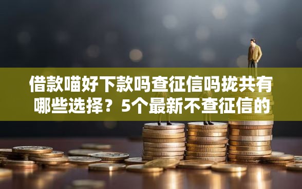 借款喵好下款吗查征信吗拢共有哪些选择?5个最新不查征信的口子详解 借款喵好下款吗查征信吗拢共有哪些选择?5个最新不查征信的口子详解
