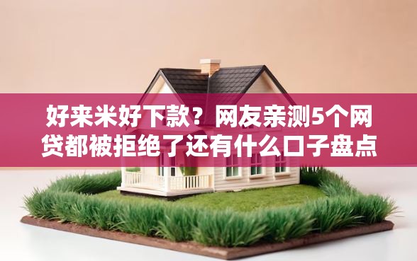 好来米好下款？网友亲测5个网贷都被拒绝了还有什么口子盘点