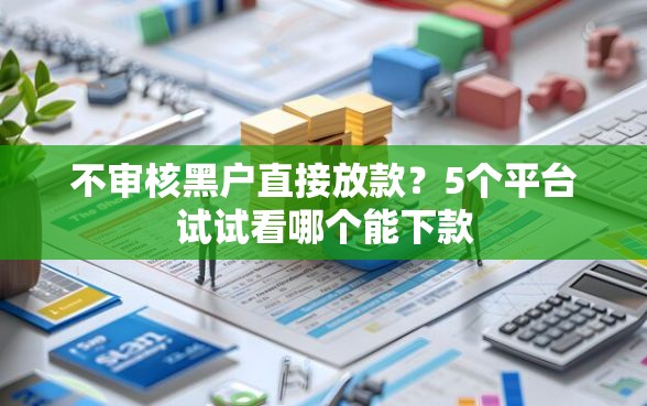 不审核黑户直接放款？5个平台试试看哪个能下款