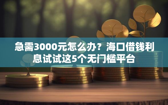 急需3000元怎么办？海口借钱利息试试这5个无门槛平台