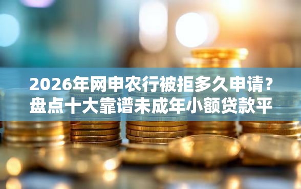 2026年网申农行被拒多久申请？盘点十大靠谱未成年小额贷款平台
