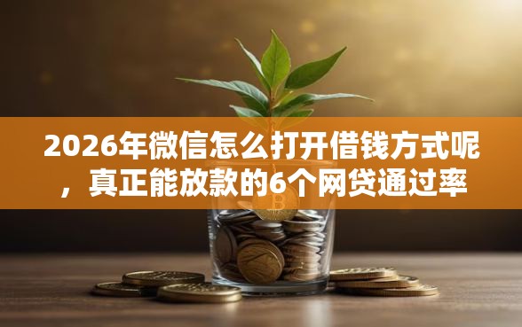 2026年微信怎么打开借钱方式呢，真正能放款的6个网贷通过率高的平台推荐