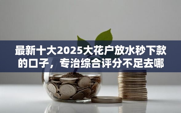 最新十大2025大花户放水秒下款的口子，专治综合评分不足去哪借钱