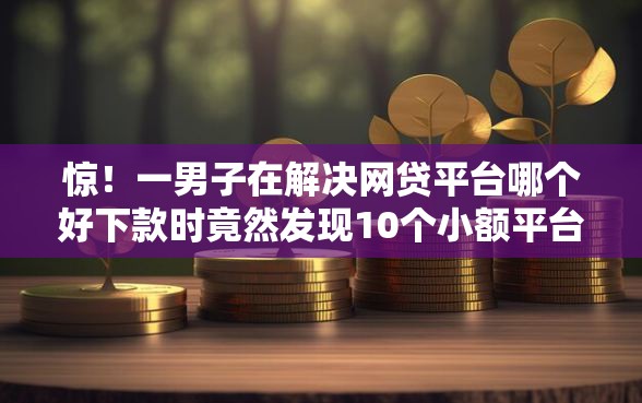 惊！一男子在解决网贷平台哪个好下款时竟然发现10个小额平台借钱容易通过不看征信，事后分享了出来